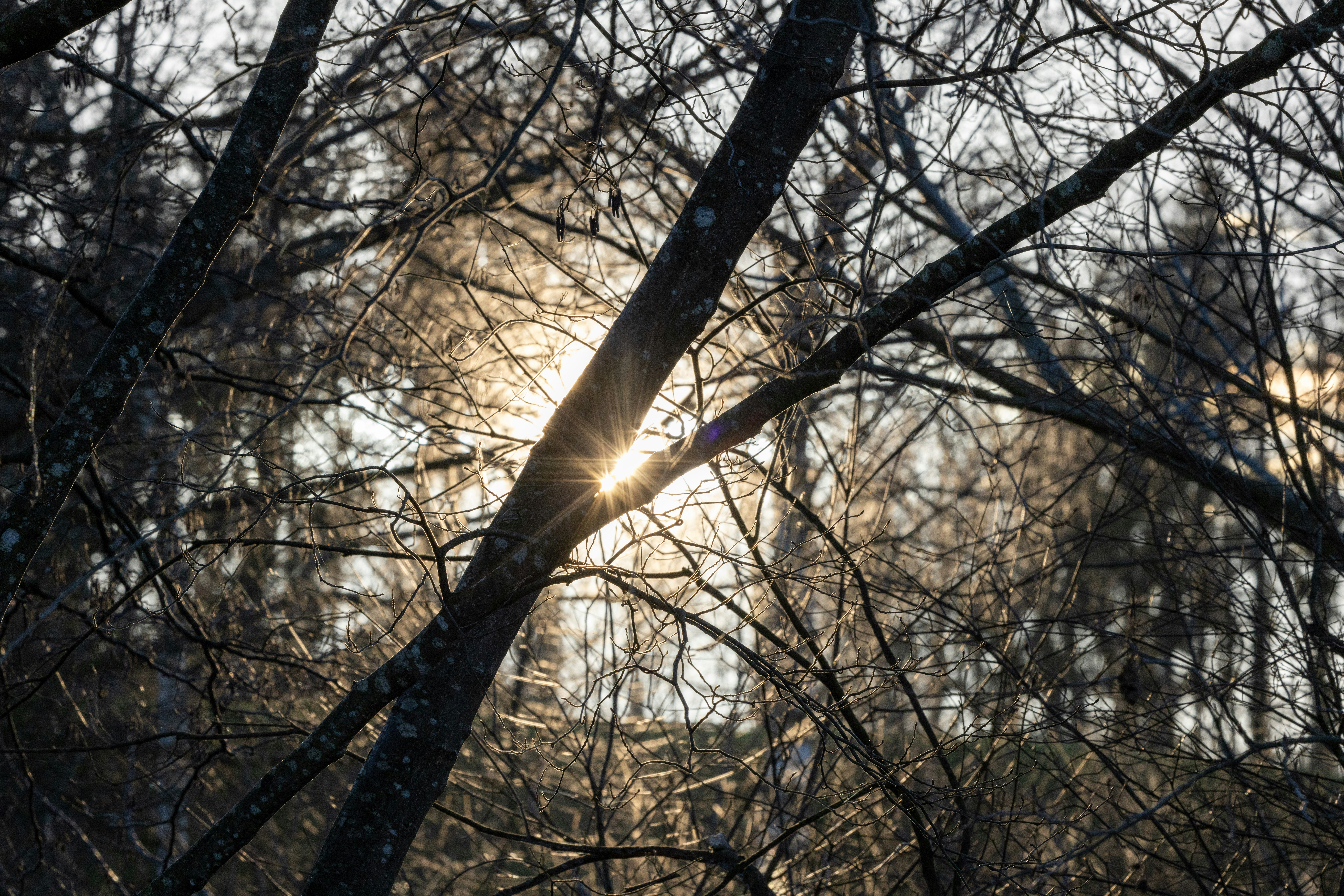 Photo by christian_dubendorfer