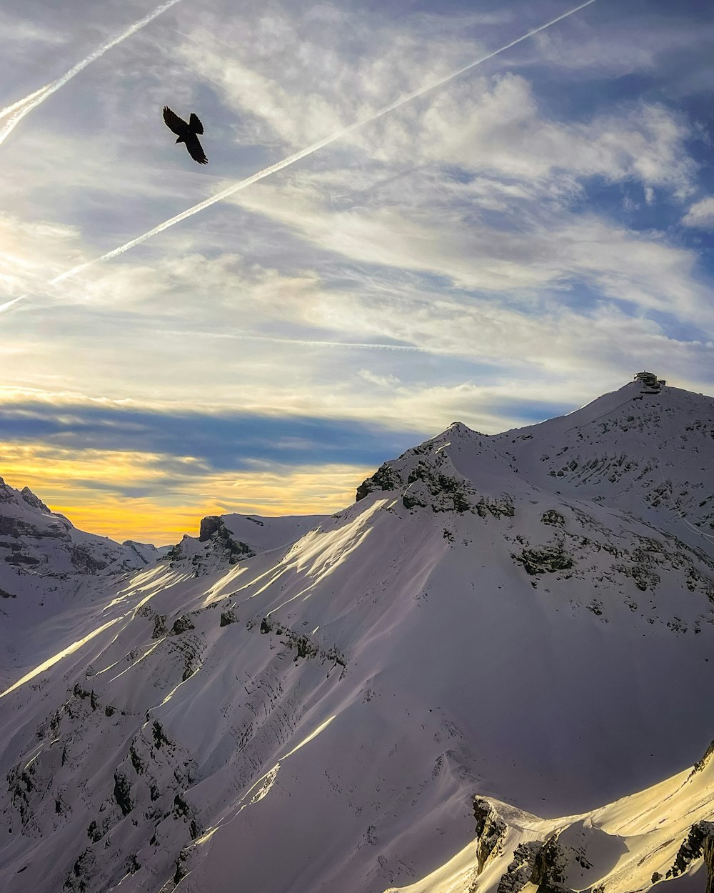 a bird flying over a snow covered mountain