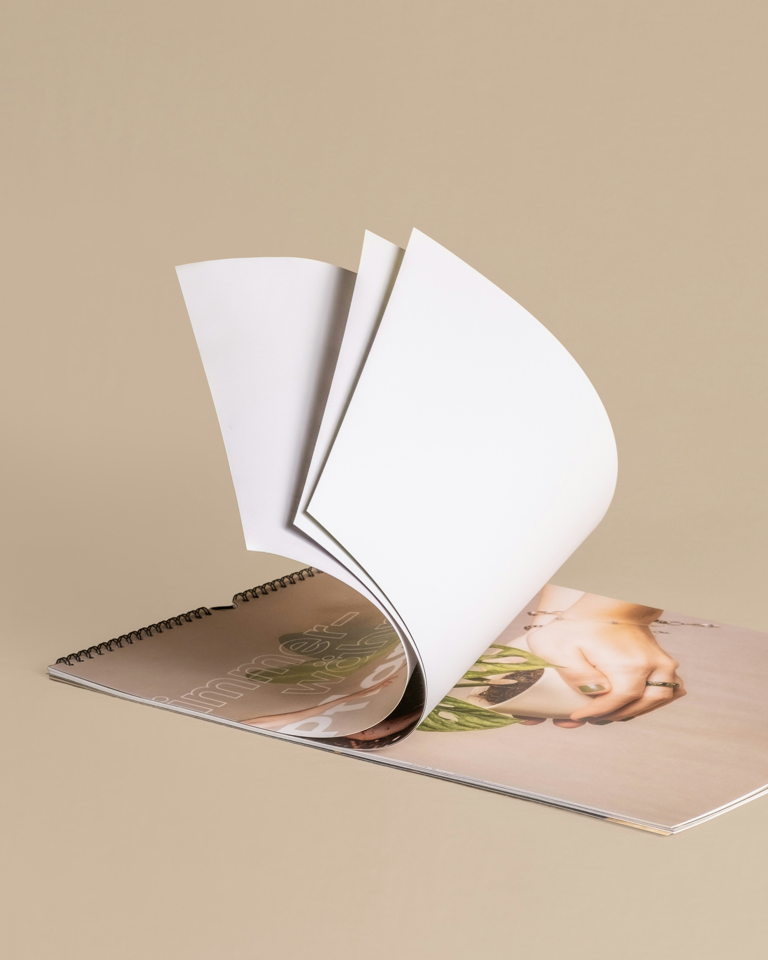 Photo by feeypflanzen