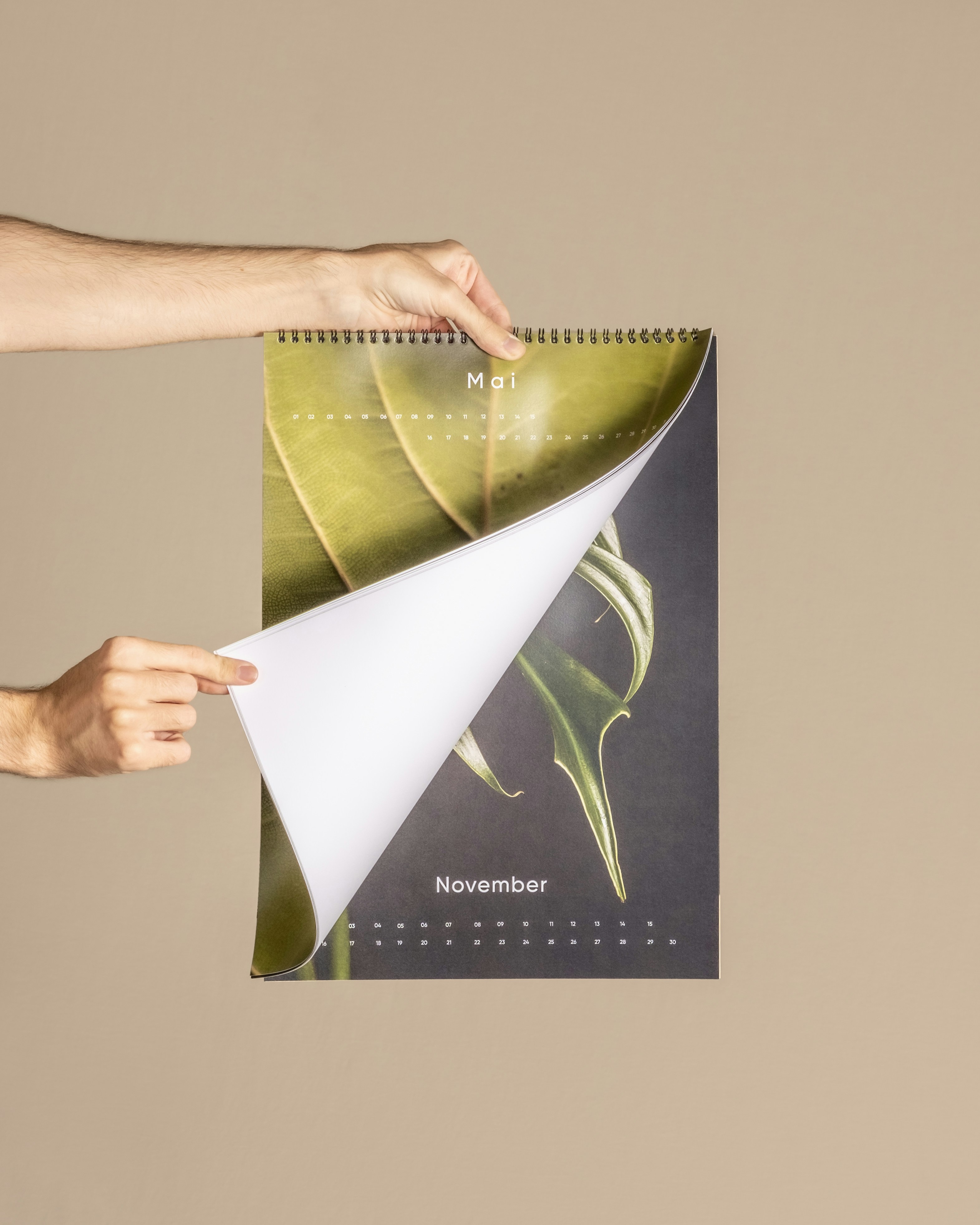 Händer vänder blad i en modern botanisk väggkalender.