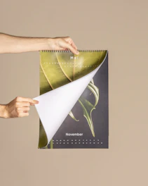 a person holding a calendar with a plant on it