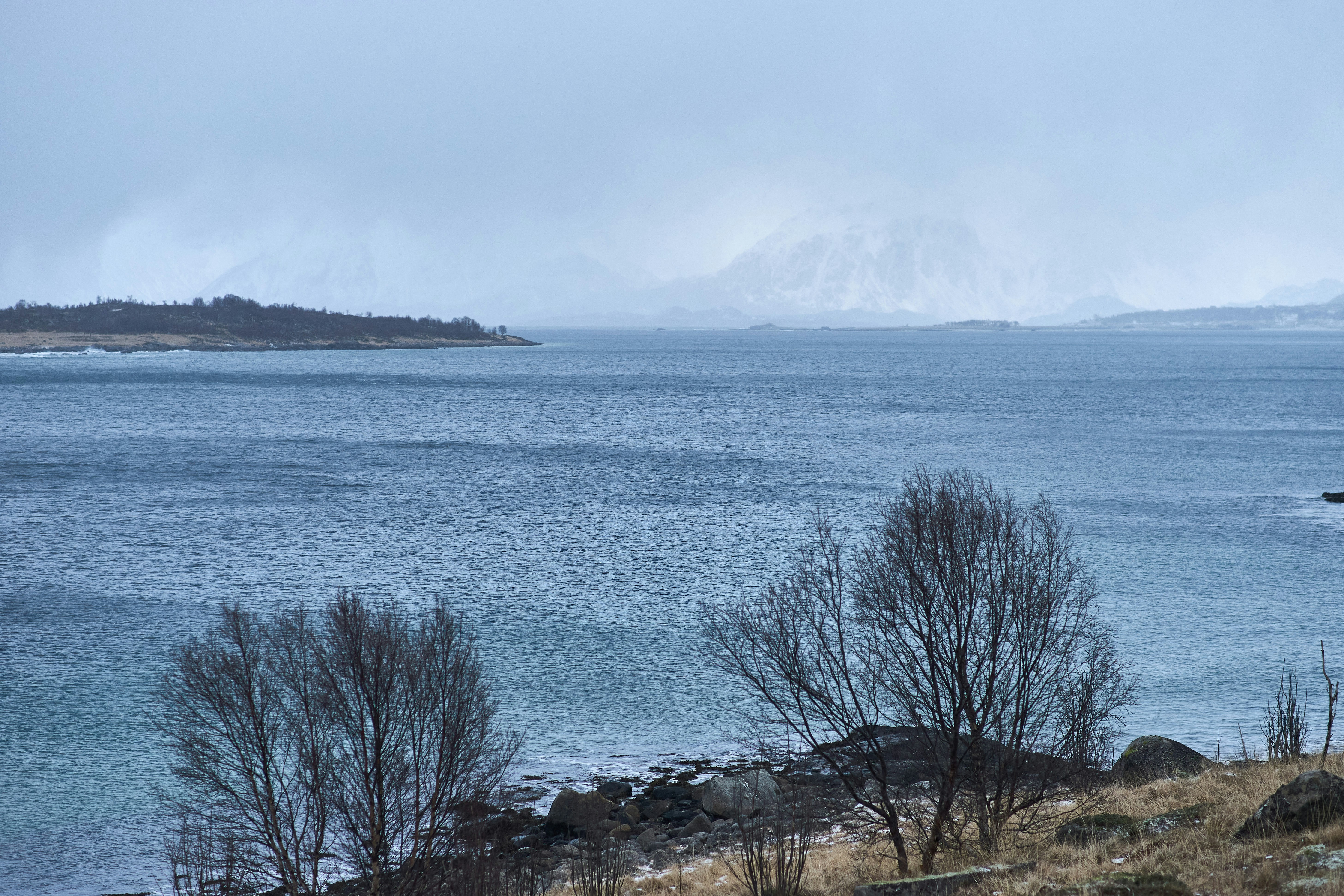 Photo by wolfgang_hasselmann