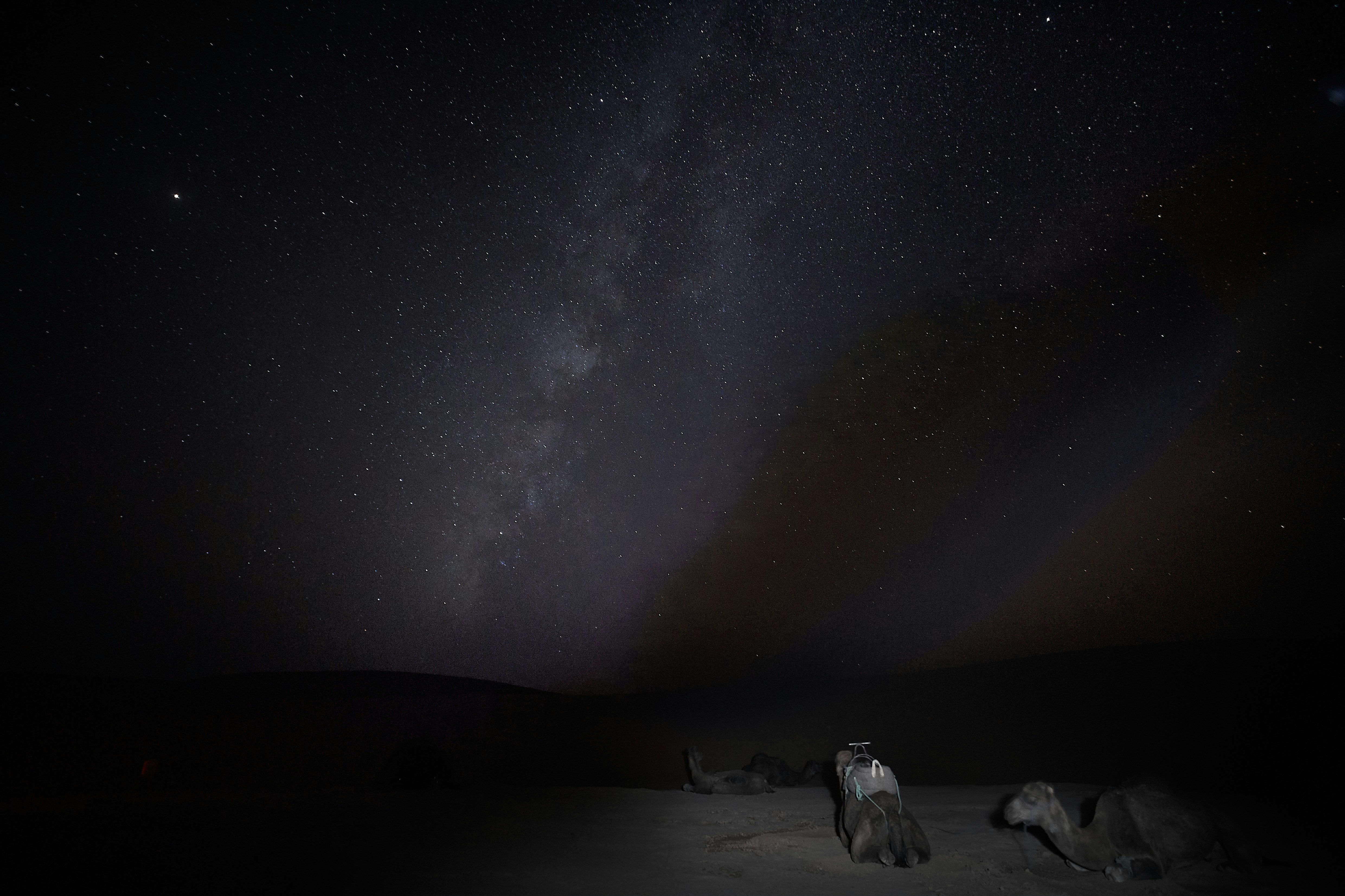 Ένα πρόβατο κινούμενων σχεδίων που πηδάει πάνω από ένα φράχτη κάτω από έναν έναστρο νυχτερινό ουρανό.