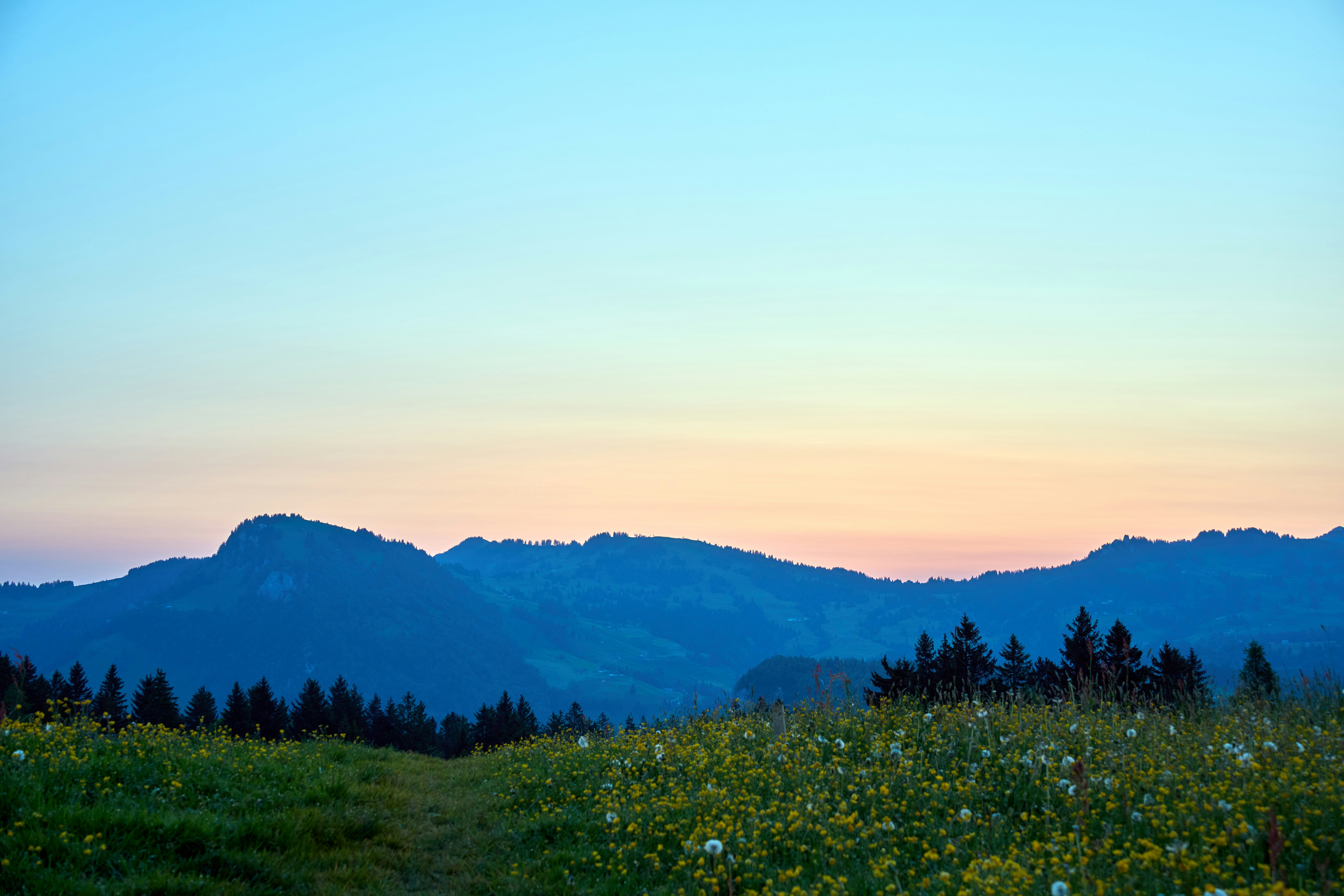 Photo by wolfgang_hasselmann