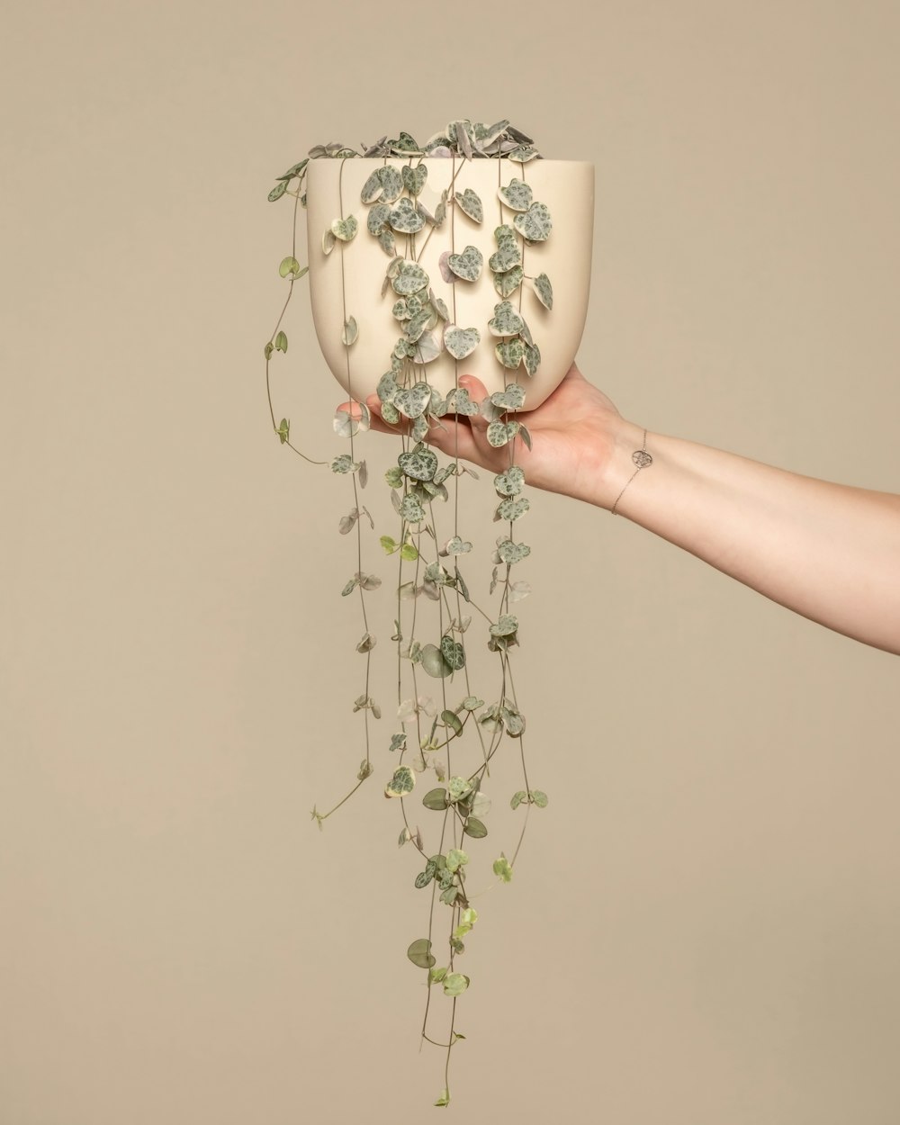 a hand holding a planter with ivy growing on it