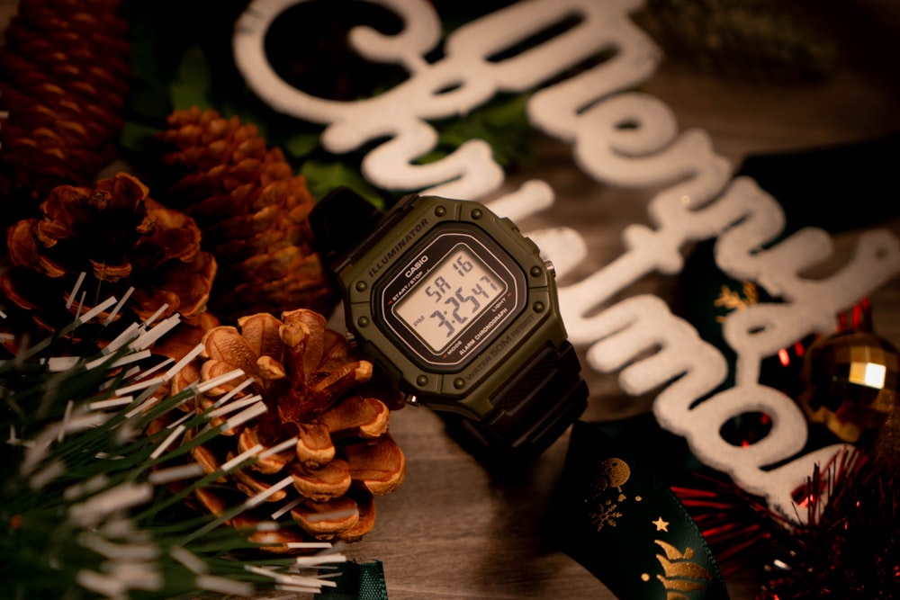 a watch sitting on top of a table next to pine cones