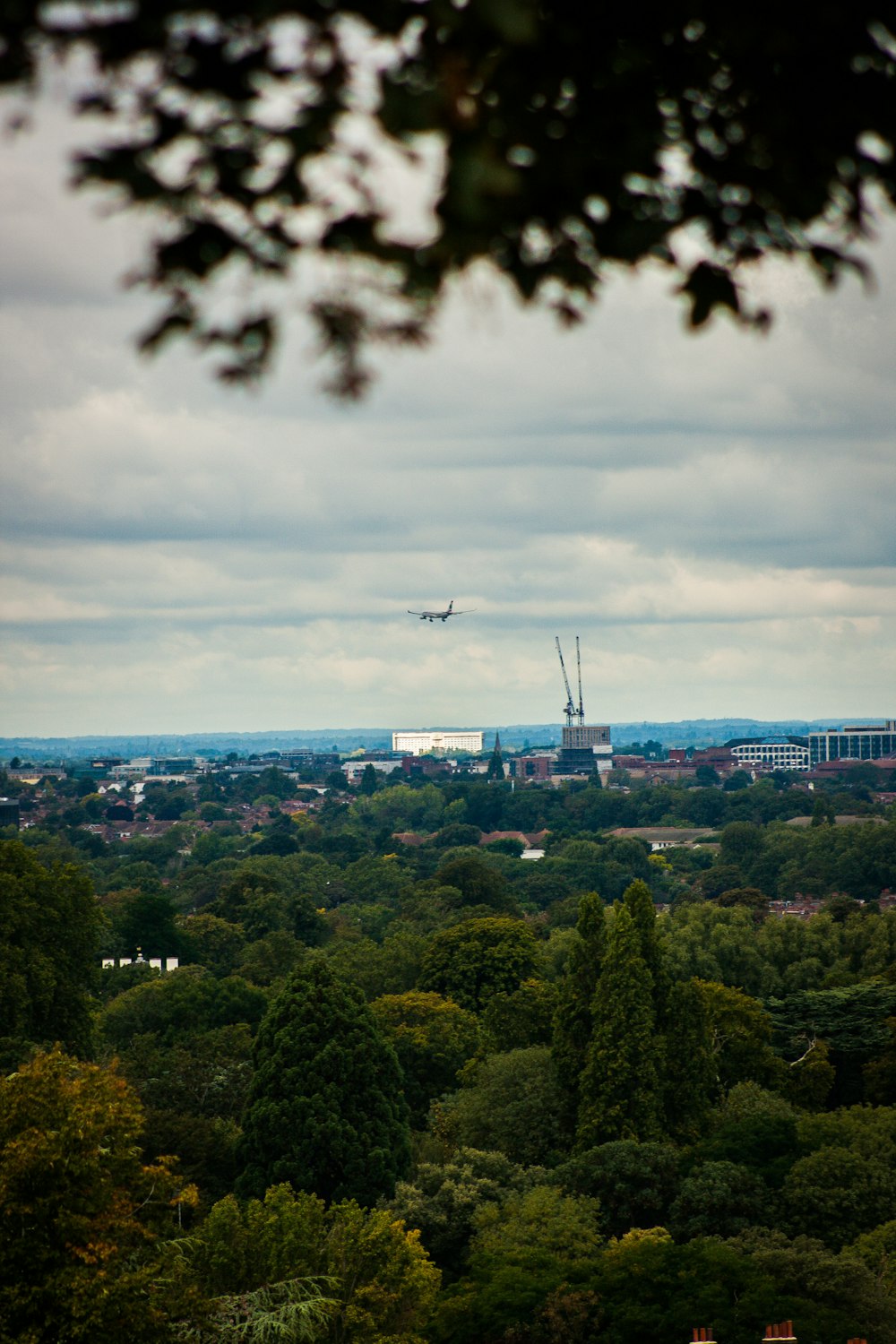 a plane flying over a city with trees in the foreground