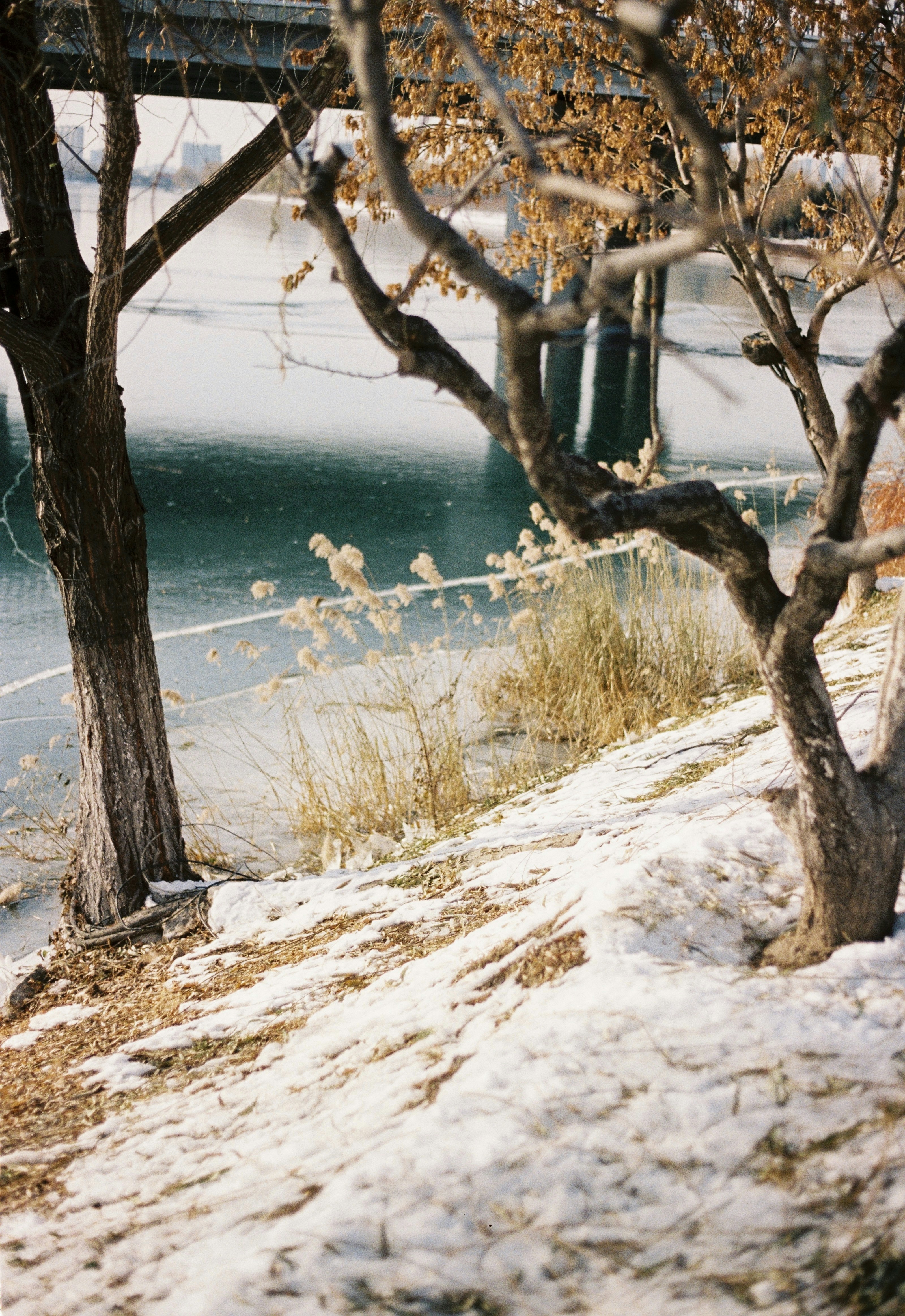 Photo by xdu