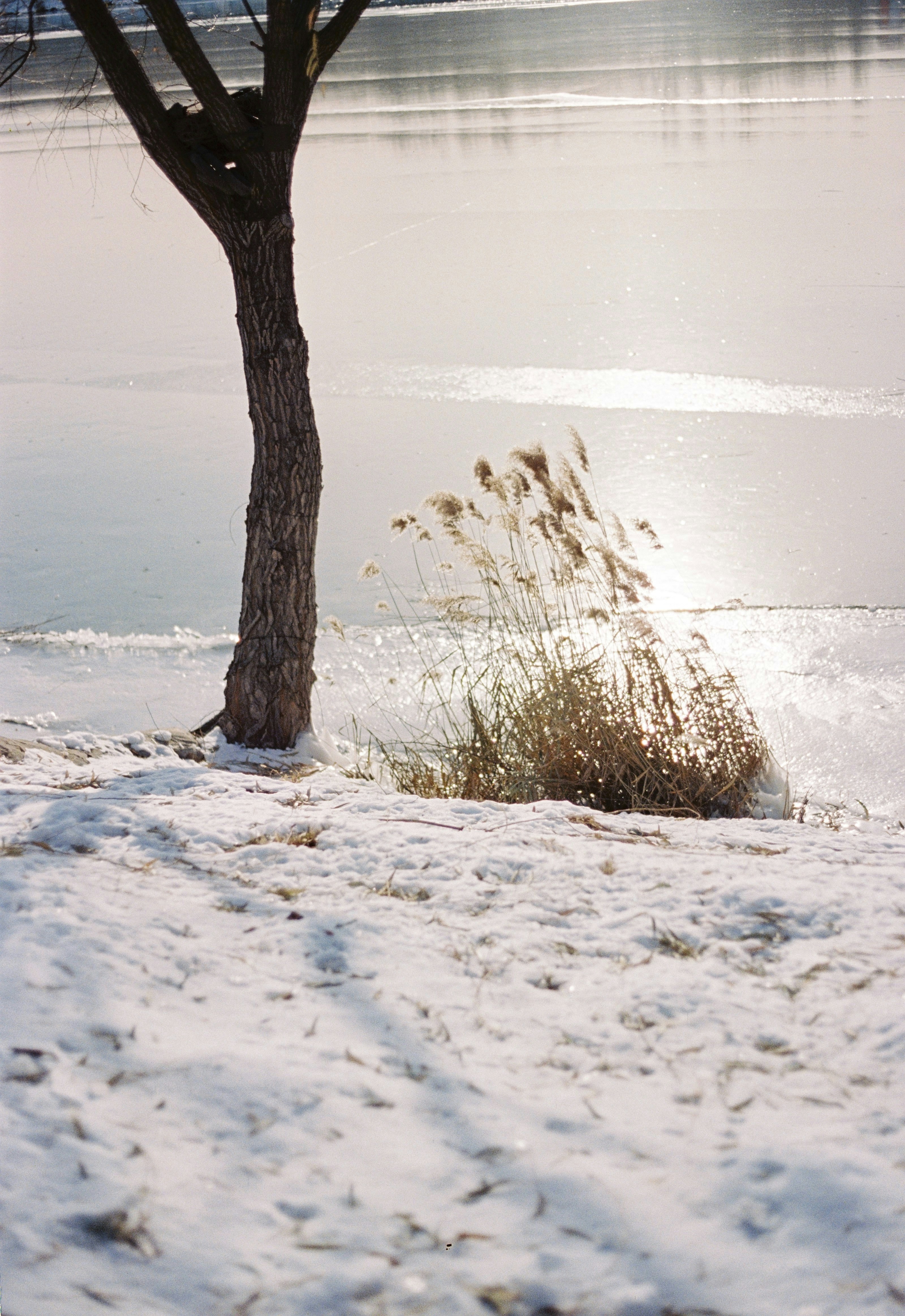 Photo by xdu