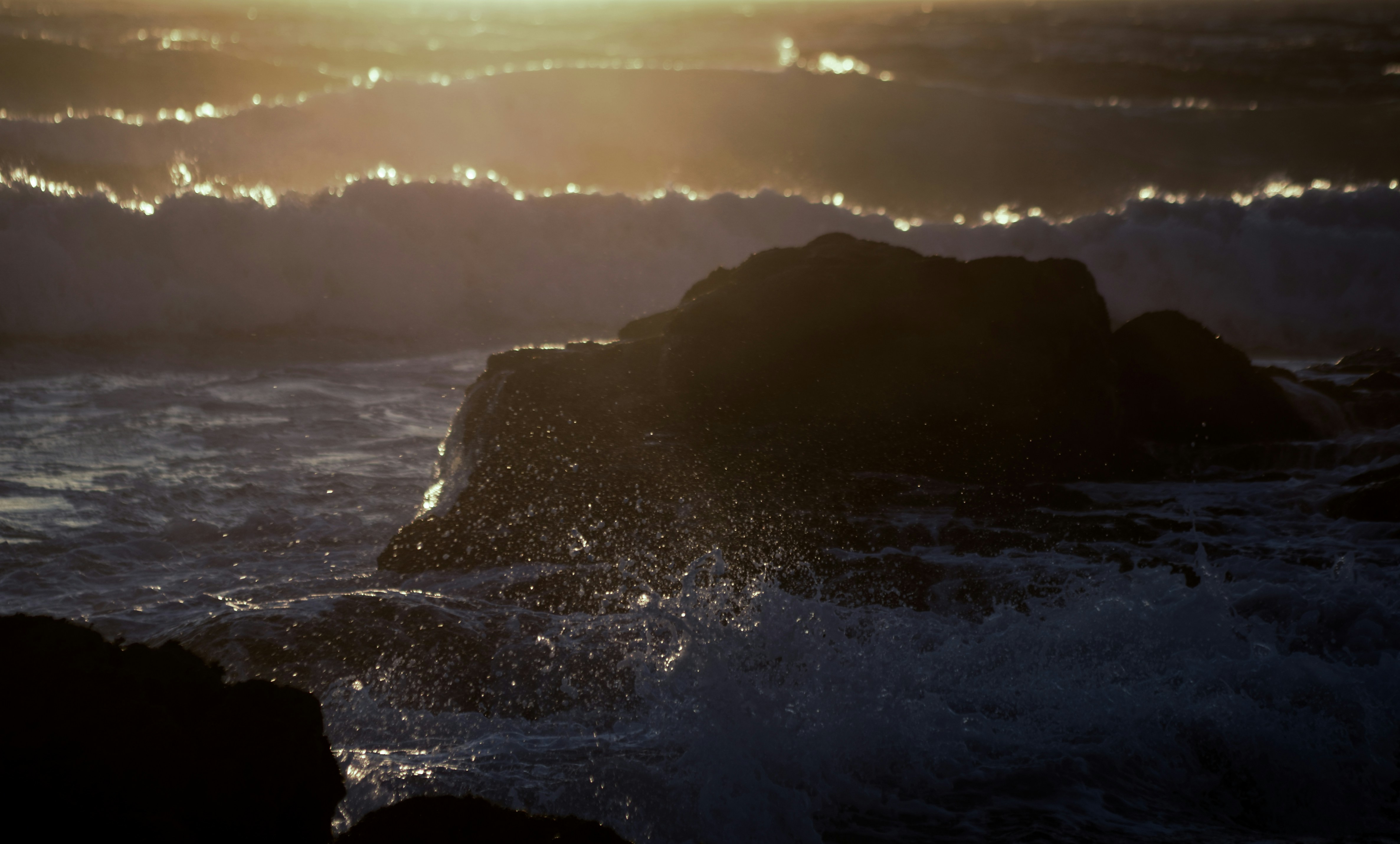 Photo by ofotografoportugues