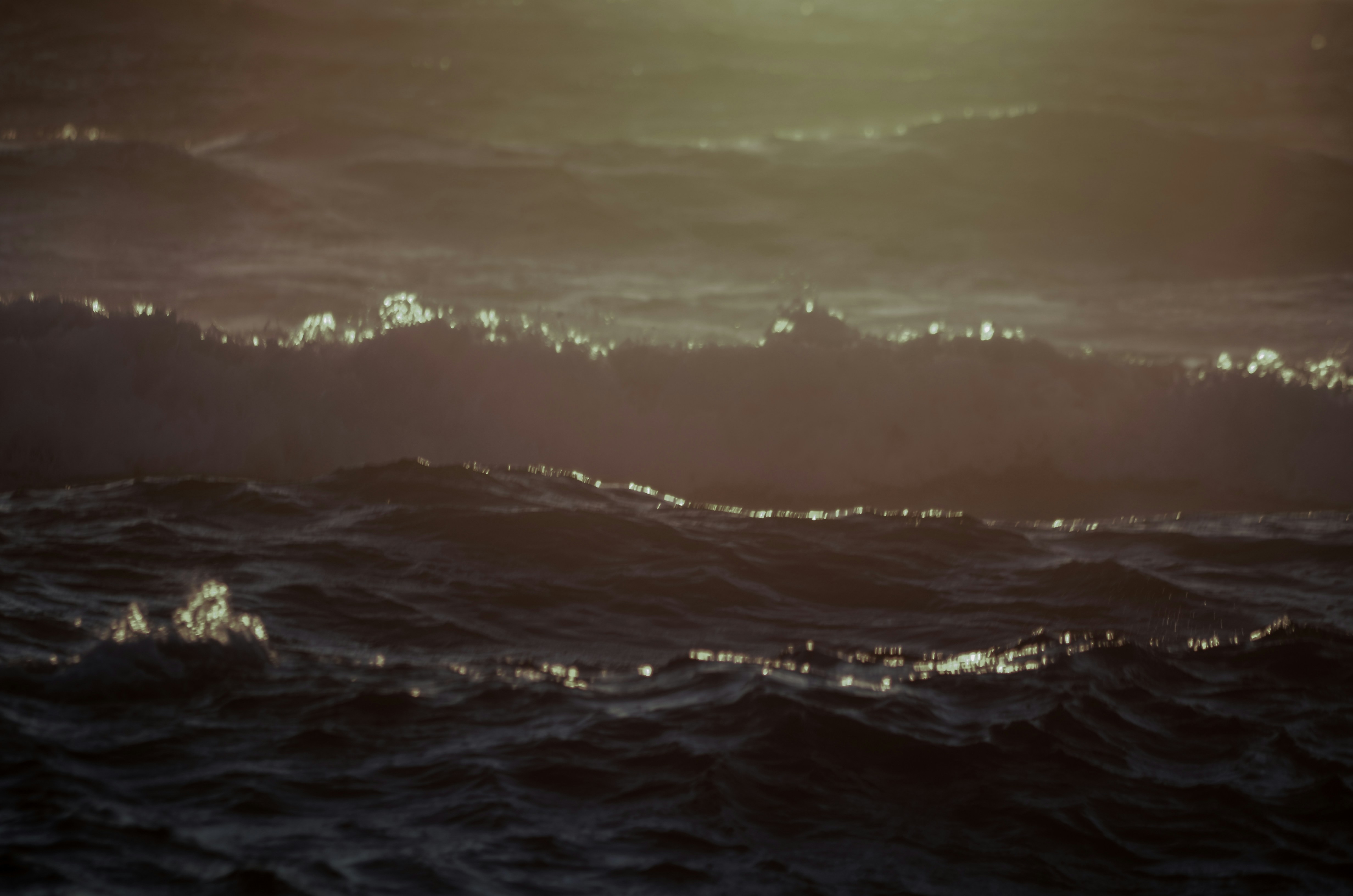 Photo by ofotografoportugues