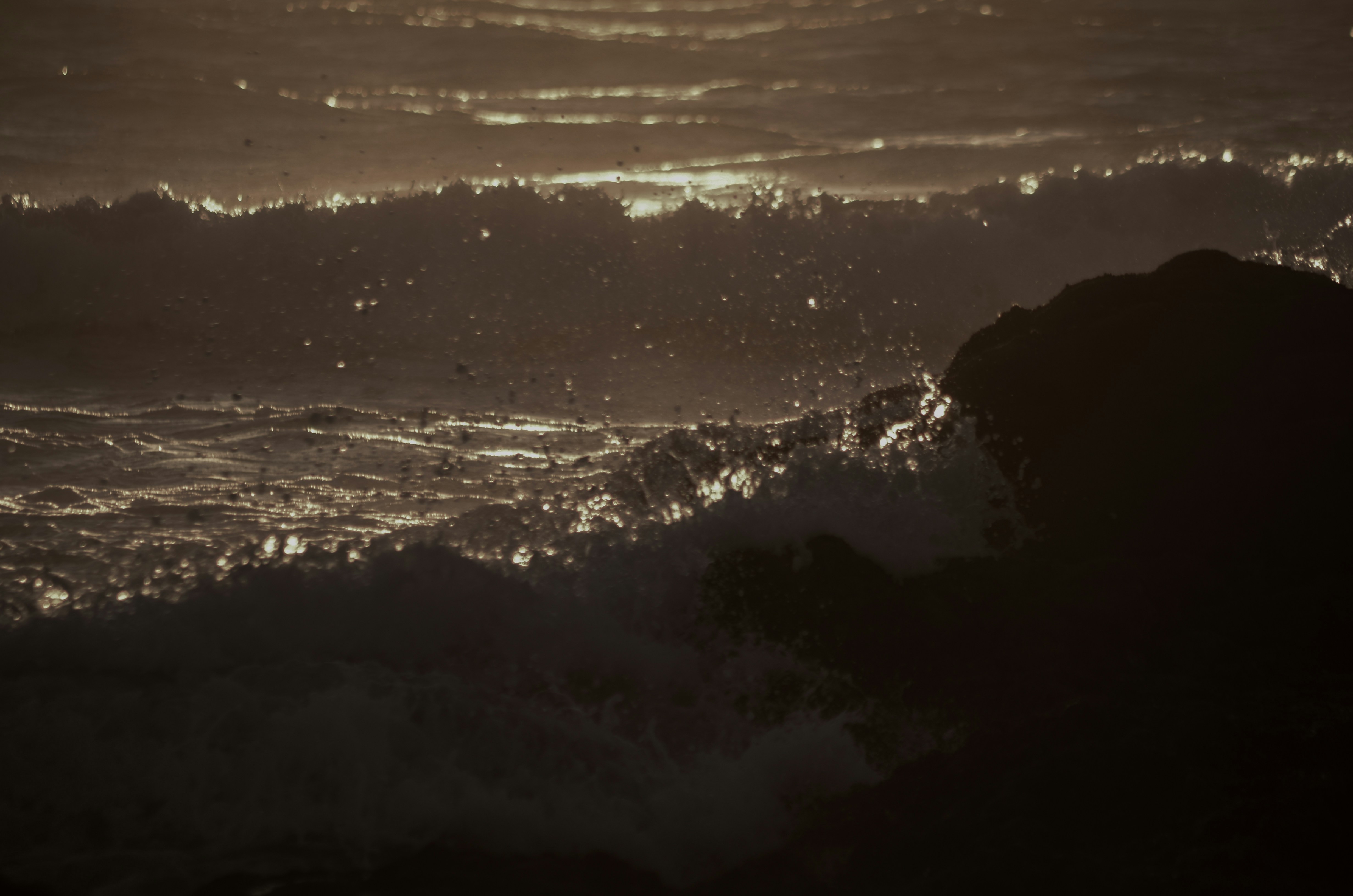 Photo by ofotografoportugues