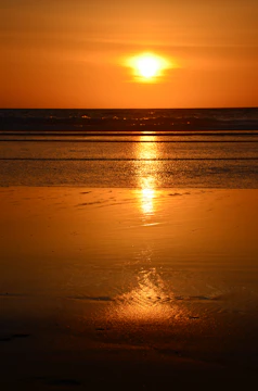 A warm golden sunset over the San Francisco Bay, with soft light reflecting on the water.