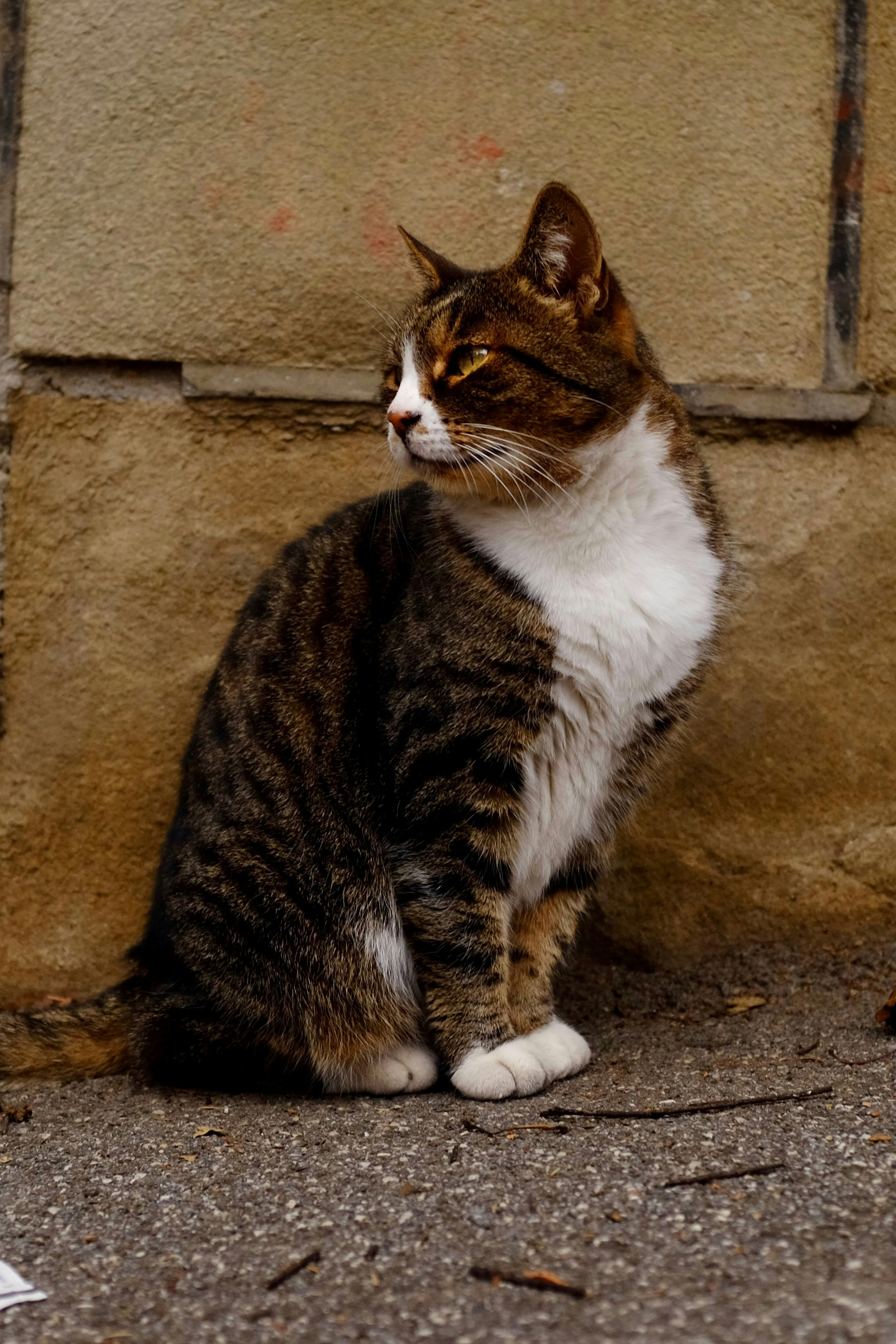 Photo by ignatkushanrev