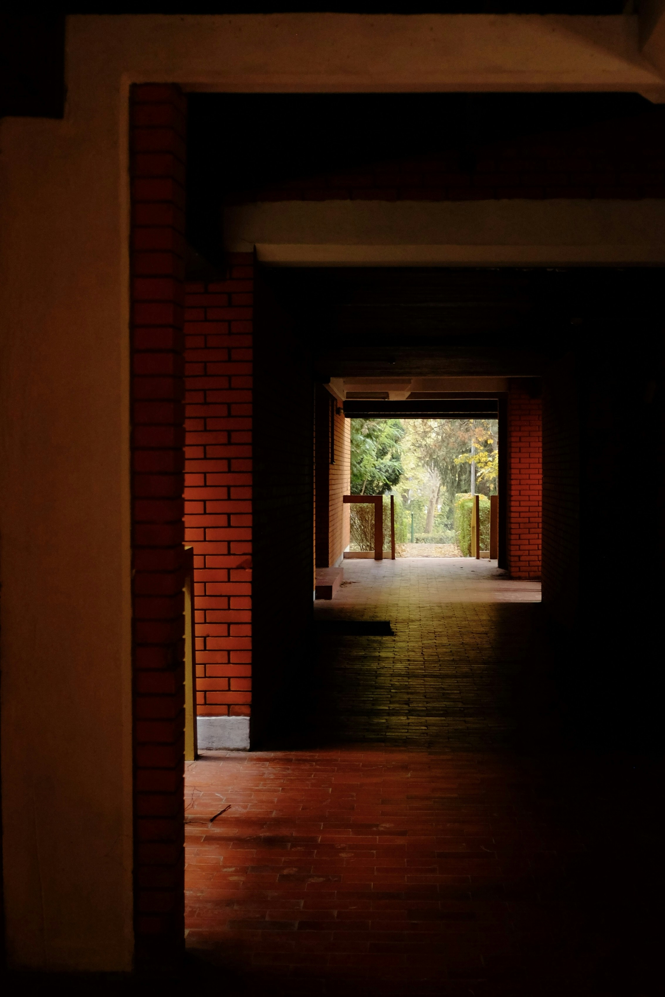 Photo by ignatkushanrev