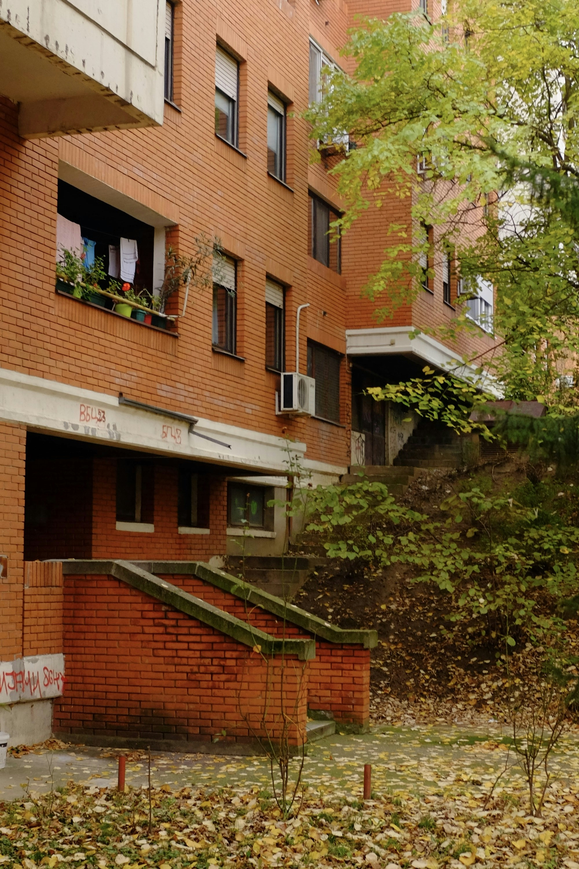 Apartment Rental Assistance Services