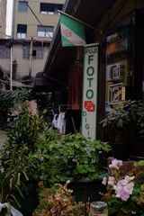 An outdoor scene in front of a photo shop featuring a large Fujifilm sign. The storefront is surrounded by potted plants and flowers. There is also a Kodak sign on the building. The background includes an older building with visible electrical wires and laundry hanging to dry.