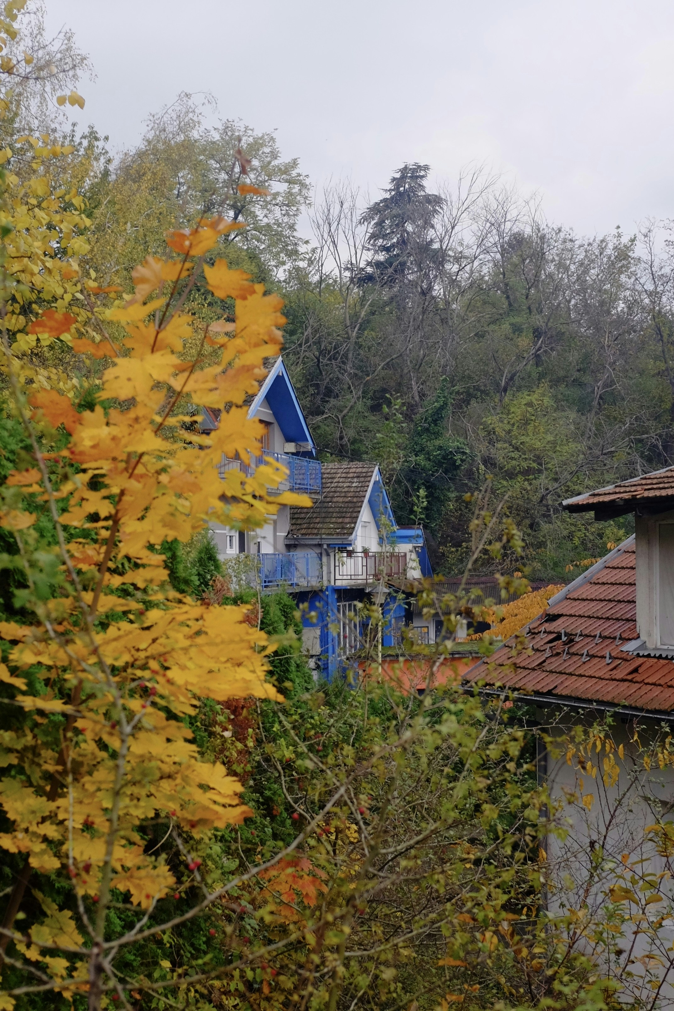 Photo by ignatkushanrev