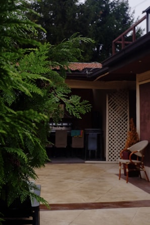 A patio area with a tile floor partially covered by a green bush on the left. There are chairs and a table in the background, along with a lattice fence and some outdoor decor. The roof is visible with some greenery in the surroundings.