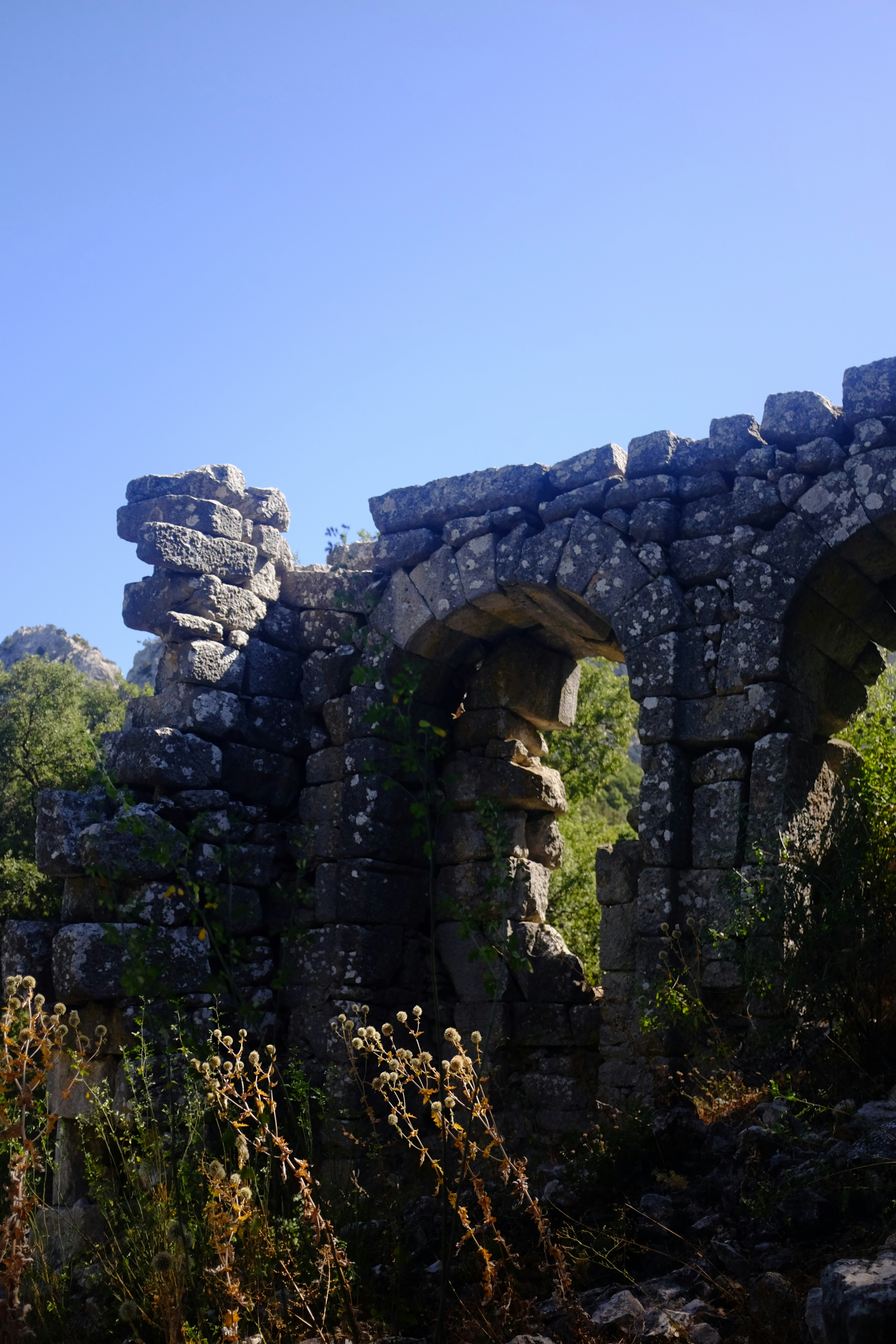 Photo by ignatkushanrev