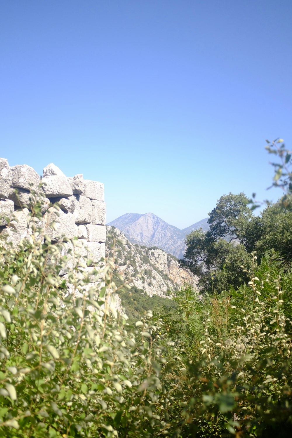 a view of the mountains from a distance