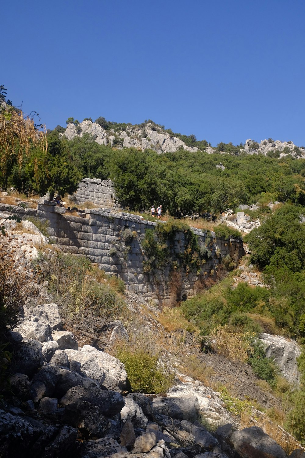 a rocky hillside with trees and bushes on top of it