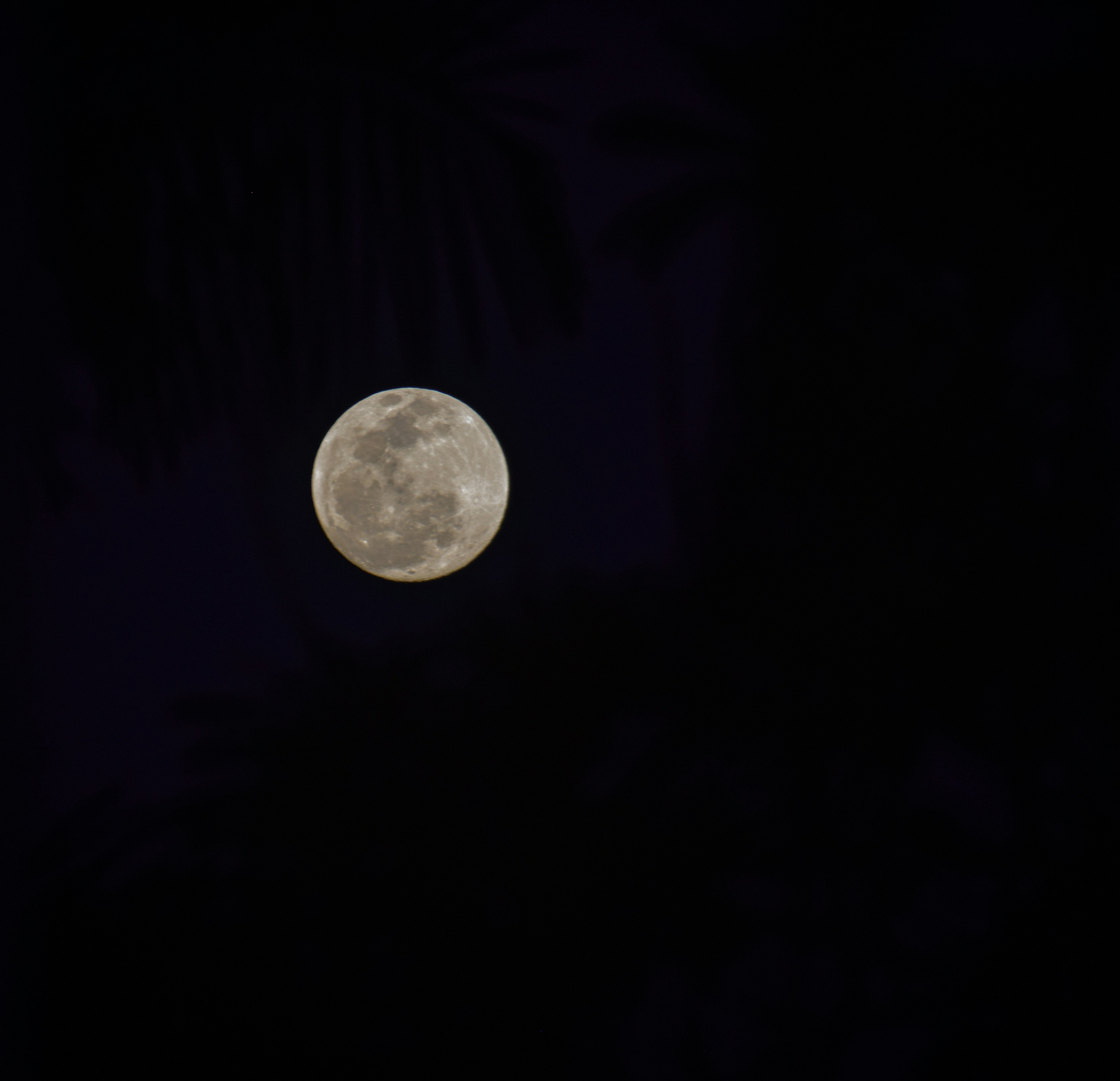 a full moon is seen in the dark sky