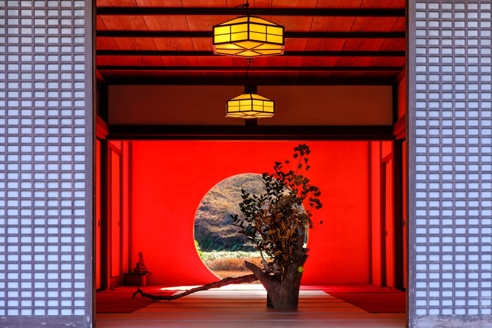 a vase with a plant in it sitting in a doorway