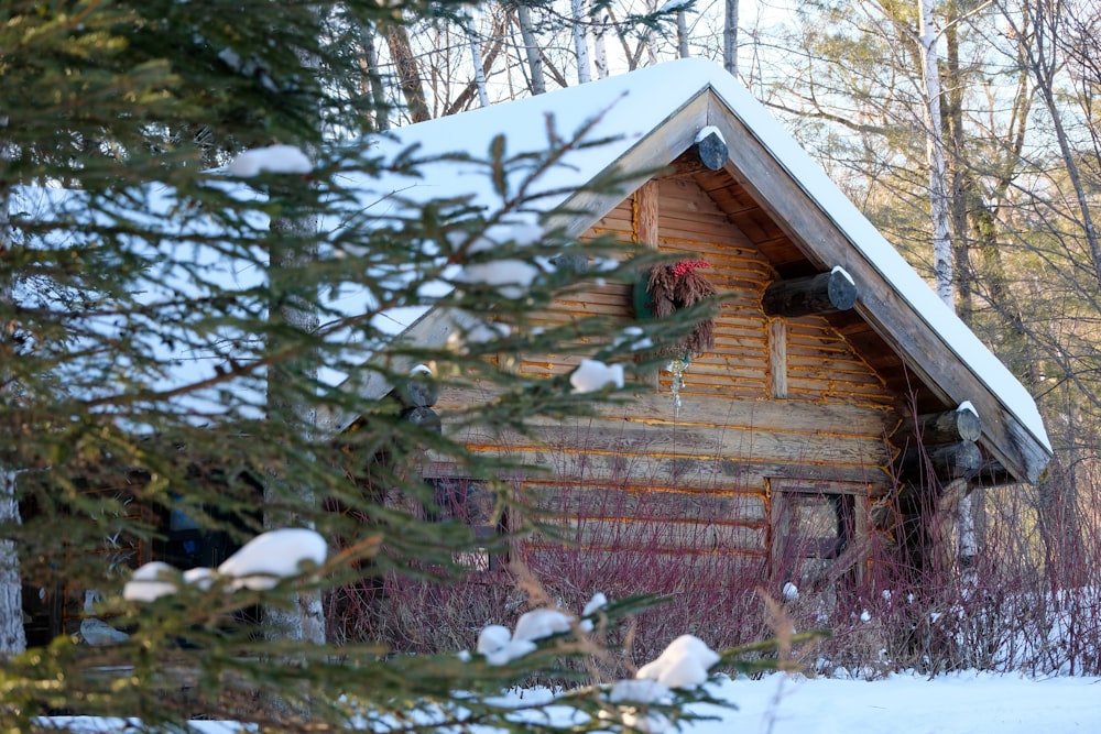 a cabin in the woods with snow on the ground