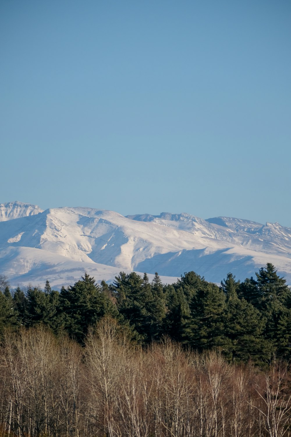 a snowy mountain with trees in the foreground