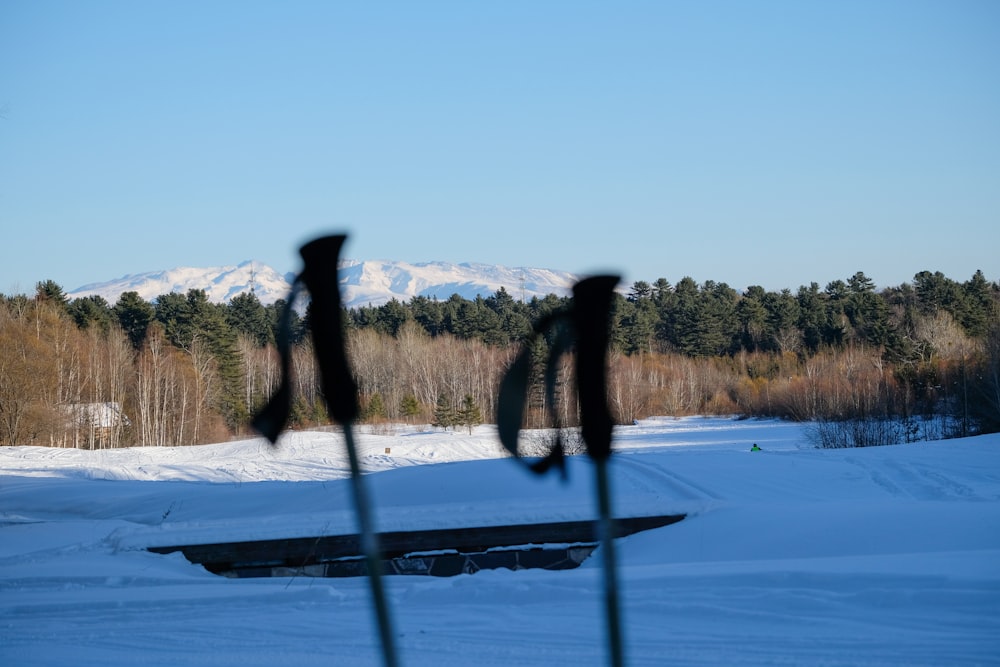 Un par de esquís sobresaliendo de la nieve