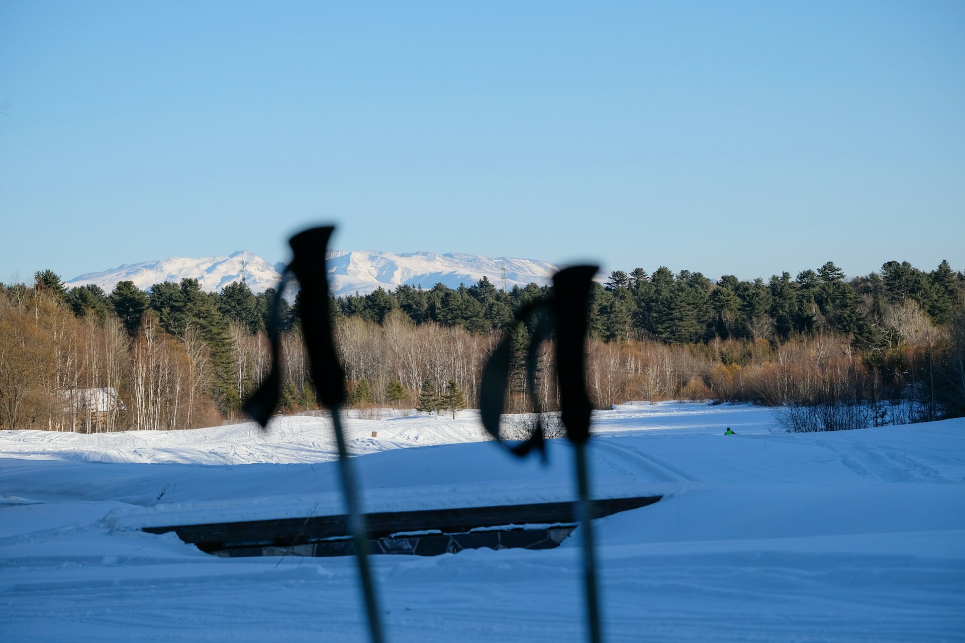 a pair of skis sticking out of the snow