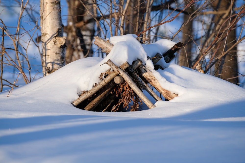 a pile of wood sitting in the middle of a snow covered forest