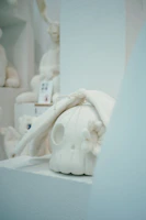 Elegant display of several artisan skulls arranged in a minimalist gallery setting with soft desert sand tones.