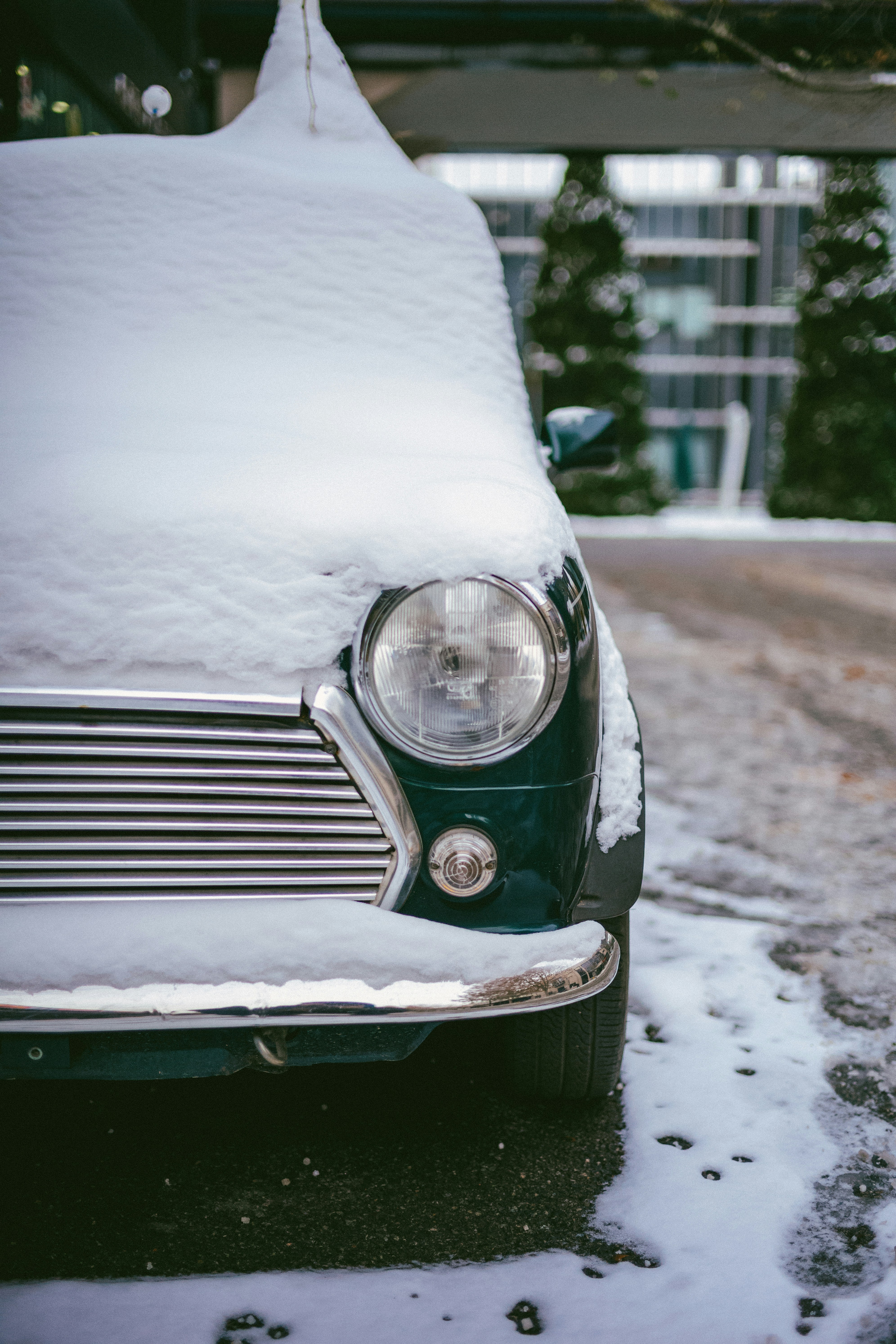 Photo by tommaomaoer