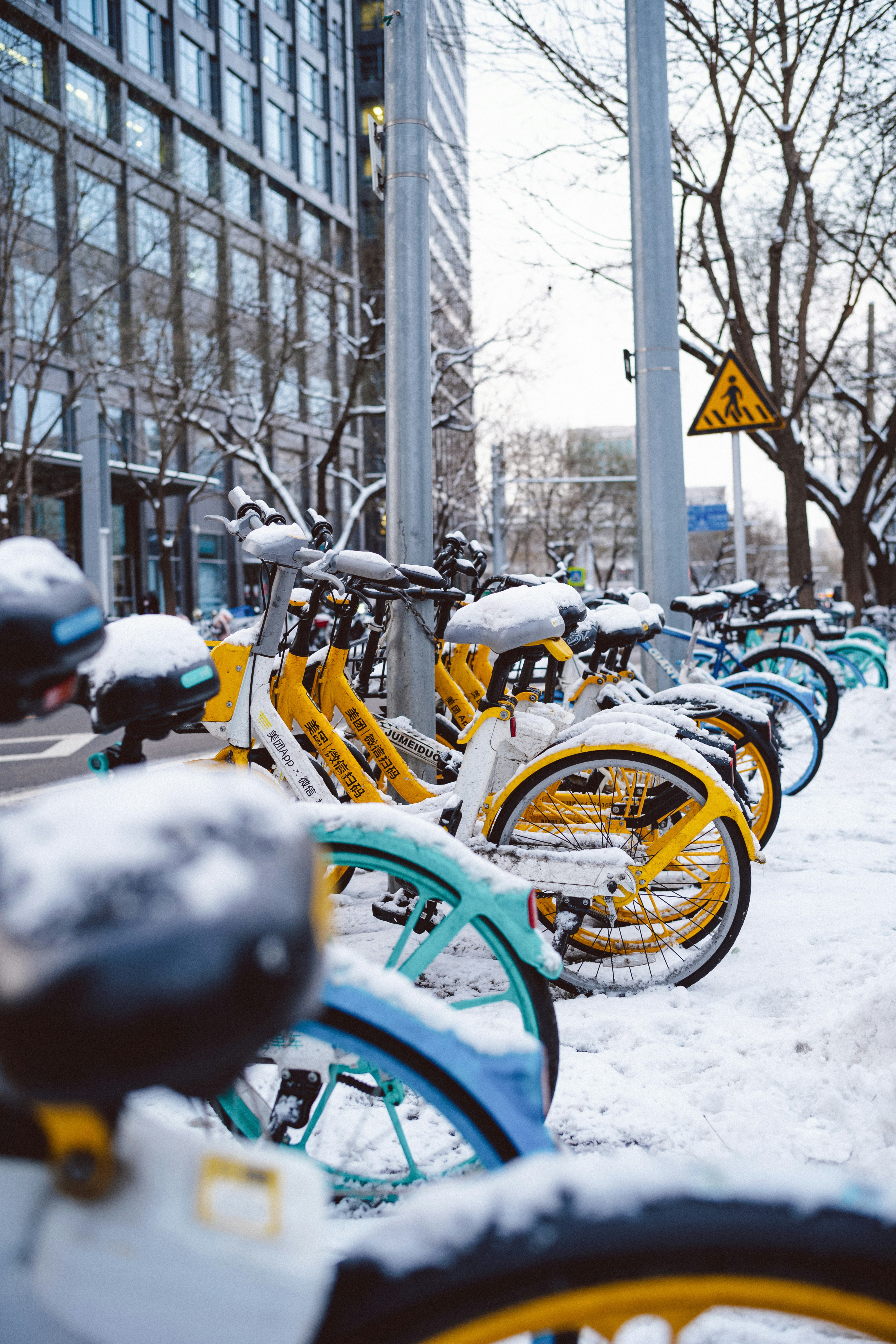 Photo by tommaomaoer