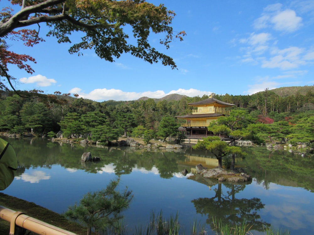 a pond with a building in the background