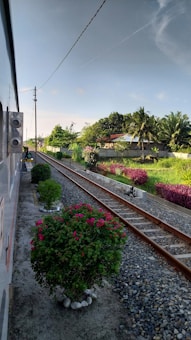 A railway track runs through a lush, green landscape. On the right, there are vibrant flowering bushes and palm trees. The sky is clear with a few clouds, suggesting a serene and sunny day. The railway track is flanked by gravel, and there appears to be a section of a train visible on the left side. The setting is peaceful, with no visible people.