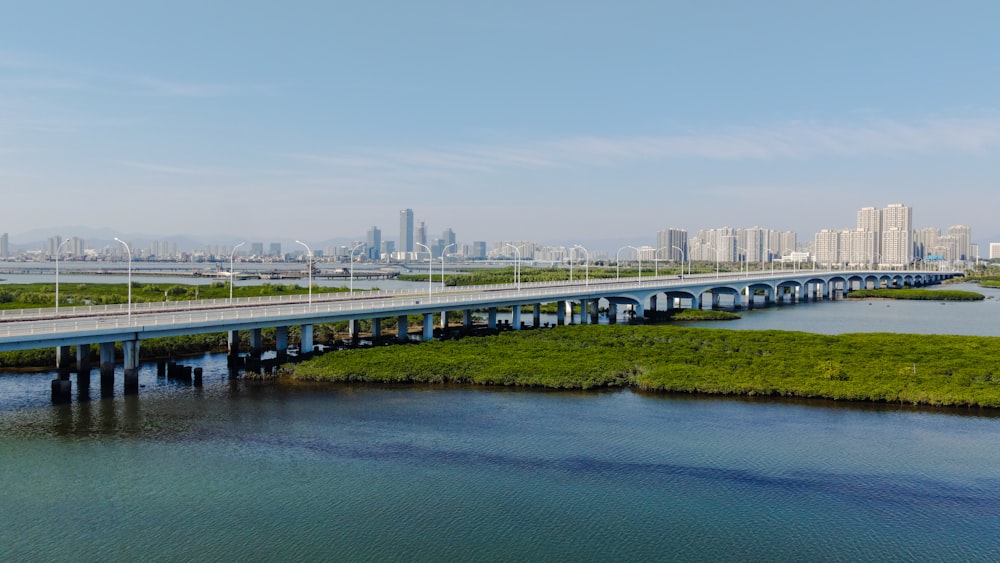 a bridge over a body of water with a city in the background