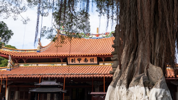 A traditional Chinese temple with ornate red-orange tiled roofs, adorned with artistic decorations and calligraphy. The intricate architecture is prominent, with a large tree in the foreground whose twisting roots and hanging branches frame the view. The scene offers a glimpse into the cultural and historical elements of the structure.