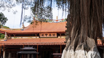 A traditional Chinese temple with ornate red-orange tiled roofs, adorned with artistic decorations and calligraphy. The intricate architecture is prominent, with a large tree in the foreground whose twisting roots and hanging branches frame the view. The scene offers a glimpse into the cultural and historical elements of the structure.