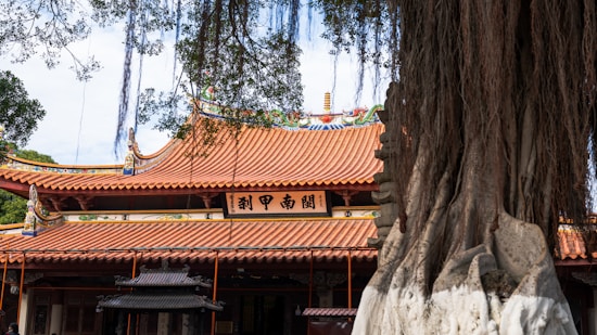 A traditional Chinese temple with ornate red-orange tiled roofs, adorned with artistic decorations and calligraphy. The intricate architecture is prominent, with a large tree in the foreground whose twisting roots and hanging branches frame the view. The scene offers a glimpse into the cultural and historical elements of the structure.