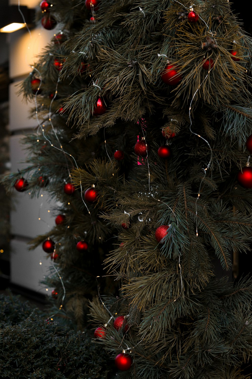 Un primer plano de un árbol de Navidad con adornos rojos