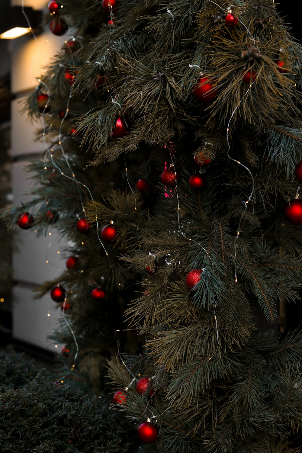 a close up of a christmas tree with red ornaments