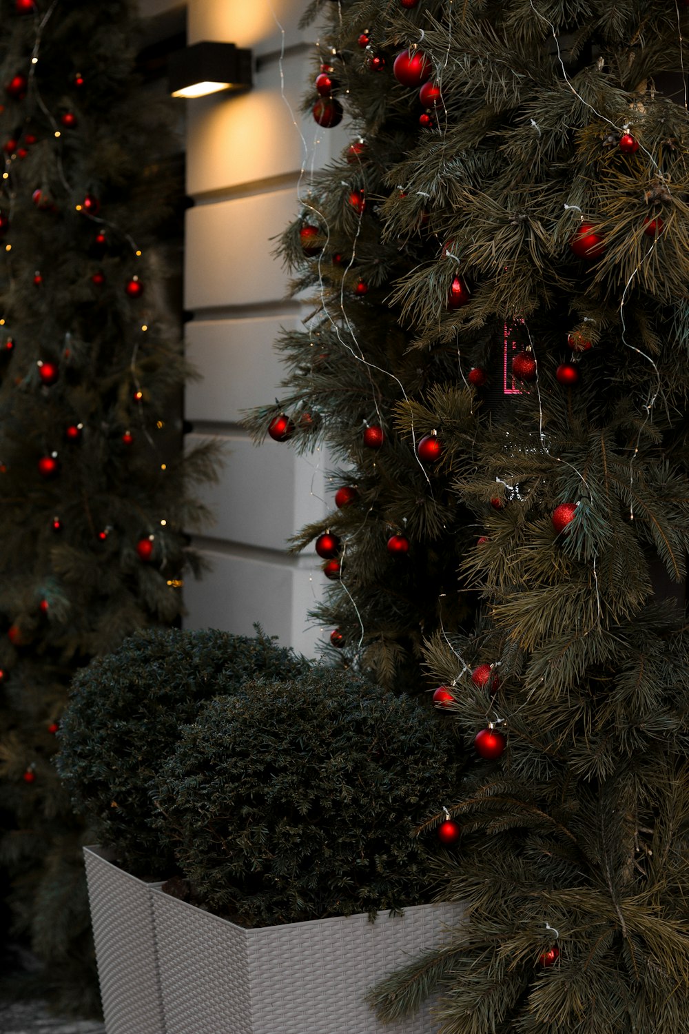 a large christmas tree with red ornaments on it