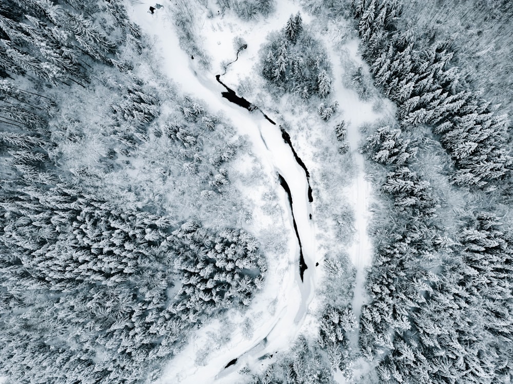 an aerial view of a snow covered forest