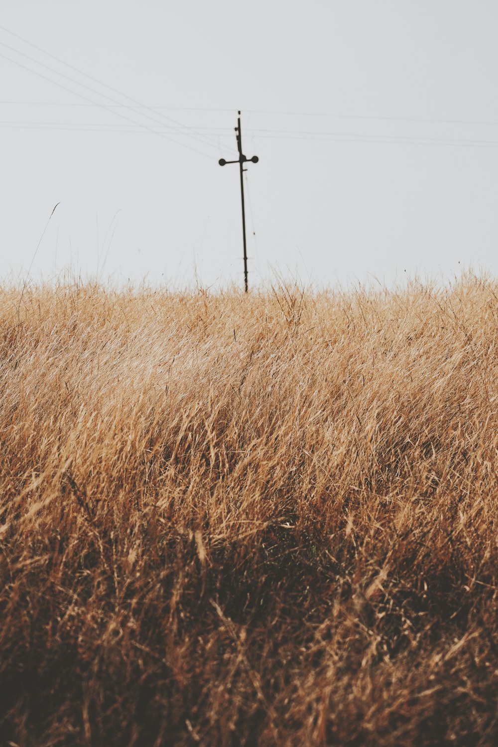 un palo del telefono in mezzo a un campo