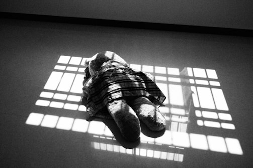 A large stuffed animal lies on the floor within a patterned shadow cast by a window. The stuffed toy is partially covered by a plaid cloth, creating a stark contrast with the floor.