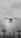 A dark, winged creature is flying over a foggy graveyard filled with crosses and tombstones. The atmosphere appears eerie and ominous, with minimal visibility due to the thick fog. Gloomy, overcast skies add to the overall mysterious ambiance.