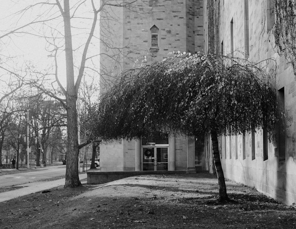 ein altes Gebäude mit einem Baum davor